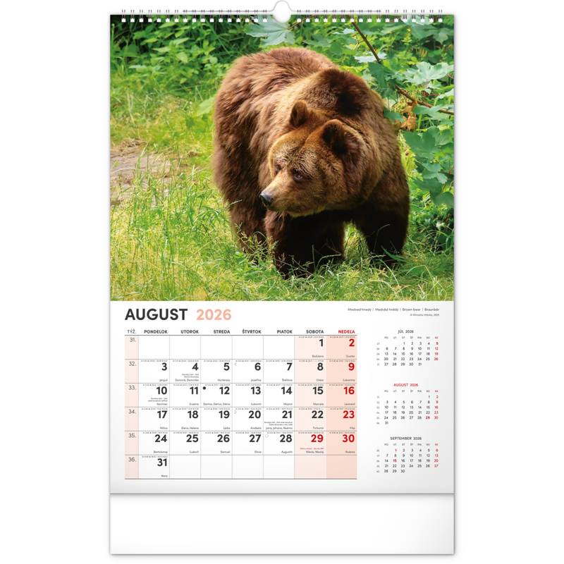 NOTIQUE Nástenný kalendár Poľovnícky 2026, 33 x 46 cm NOTIQUE Nástenný kalendár Poľovnícky 2026, 33 x 46 cm