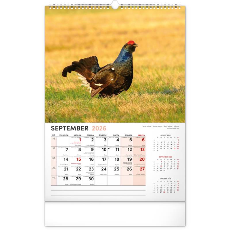 NOTIQUE Nástenný kalendár Poľovnícky 2026, 33 x 46 cm NOTIQUE Nástenný kalendár Poľovnícky 2026, 33 x 46 cm