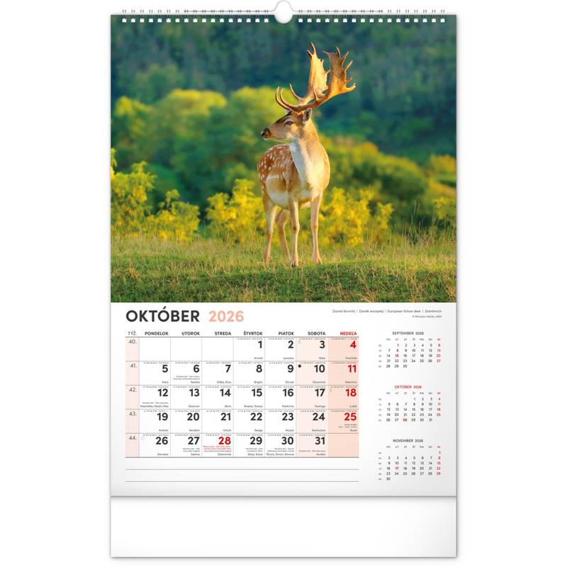 NOTIQUE Nástenný kalendár Poľovnícky 2026, 33 x 46 cm NOTIQUE Nástenný kalendár Poľovnícky 2026, 33 x 46 cm