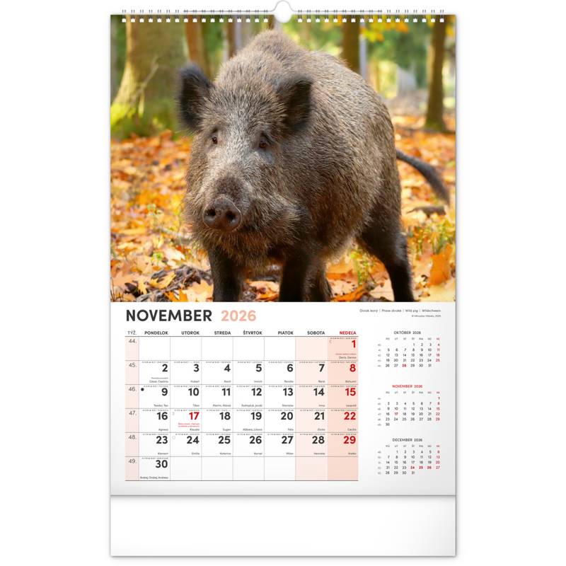 NOTIQUE Nástenný kalendár Poľovnícky 2026, 33 x 46 cm NOTIQUE Nástenný kalendár Poľovnícky 2026, 33 x 46 cm