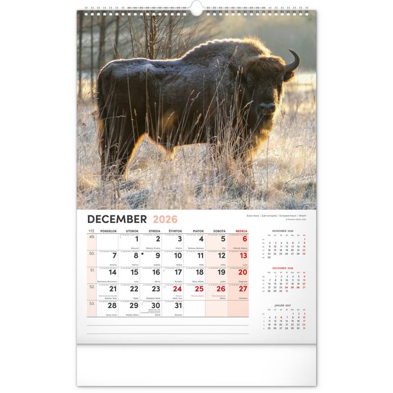 NOTIQUE Nástenný kalendár Poľovnícky 2026, 33 x 46 cm NOTIQUE Nástenný kalendár Poľovnícky 2026, 33 x 46 cm