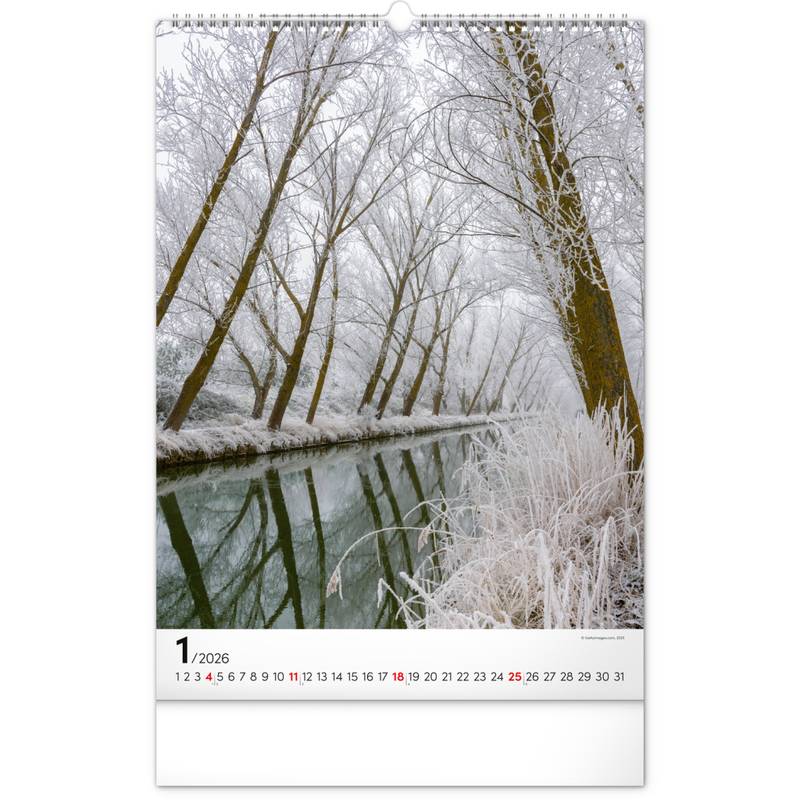 NOTIQUE Nástěnný kalendář Stromy 2026, 33 x 46 cm NOTIQUE Nástěnný kalendář Stromy 2026, 33 x 46 cm