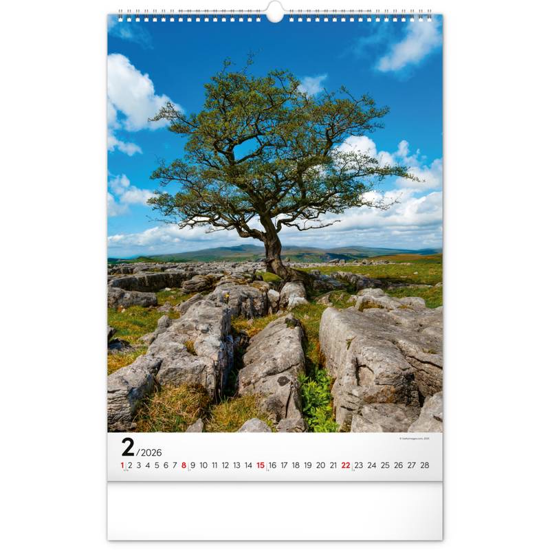 NOTIQUE Nástěnný kalendář Stromy 2026, 33 x 46 cm NOTIQUE Nástěnný kalendář Stromy 2026, 33 x 46 cm