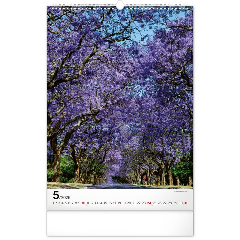 NOTIQUE Nástěnný kalendář Stromy 2026, 33 x 46 cm NOTIQUE Nástěnný kalendář Stromy 2026, 33 x 46 cm