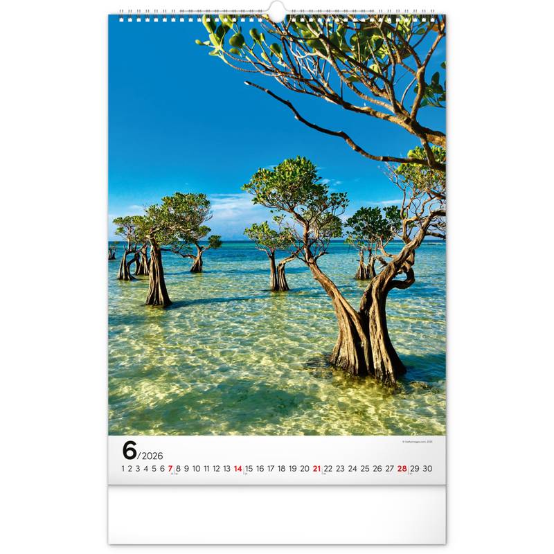 NOTIQUE Nástěnný kalendář Stromy 2026, 33 x 46 cm NOTIQUE Nástěnný kalendář Stromy 2026, 33 x 46 cm