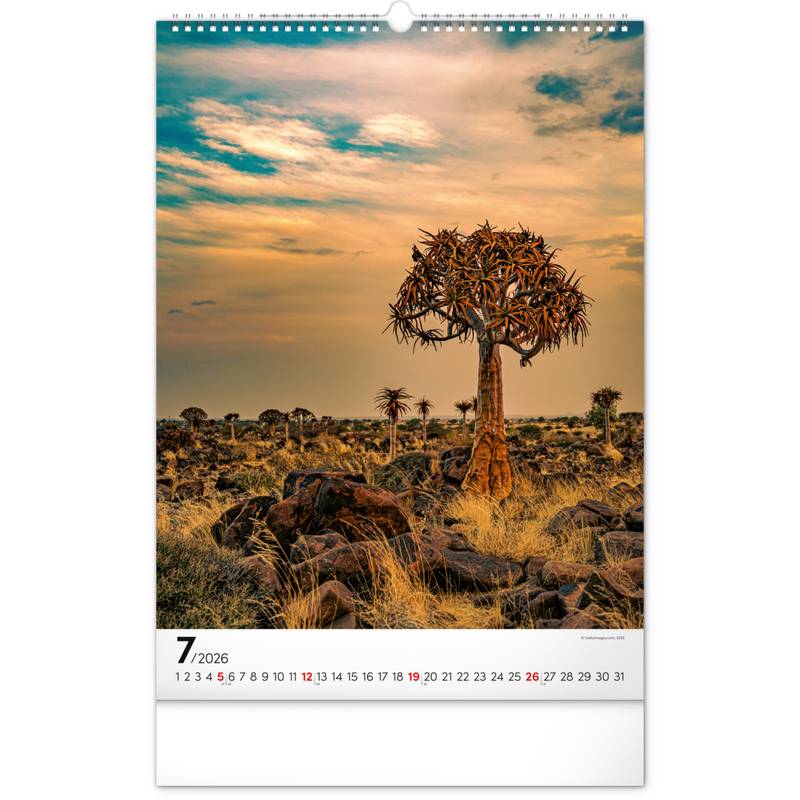 NOTIQUE Nástěnný kalendář Stromy 2026, 33 x 46 cm NOTIQUE Nástěnný kalendář Stromy 2026, 33 x 46 cm