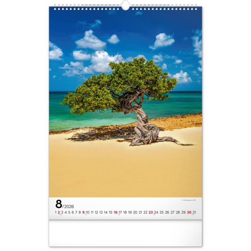 NOTIQUE Nástěnný kalendář Stromy 2026, 33 x 46 cm NOTIQUE Nástěnný kalendář Stromy 2026, 33 x 46 cm