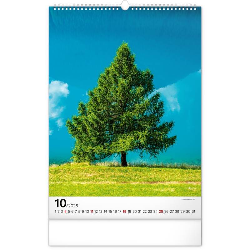 NOTIQUE Nástěnný kalendář Stromy 2026, 33 x 46 cm NOTIQUE Nástěnný kalendář Stromy 2026, 33 x 46 cm