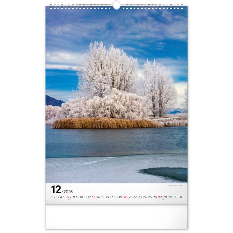 NOTIQUE Nástěnný kalendář Stromy 2026, 33 x 46 cm NOTIQUE Nástěnný kalendář Stromy 2026, 33 x 46 cm