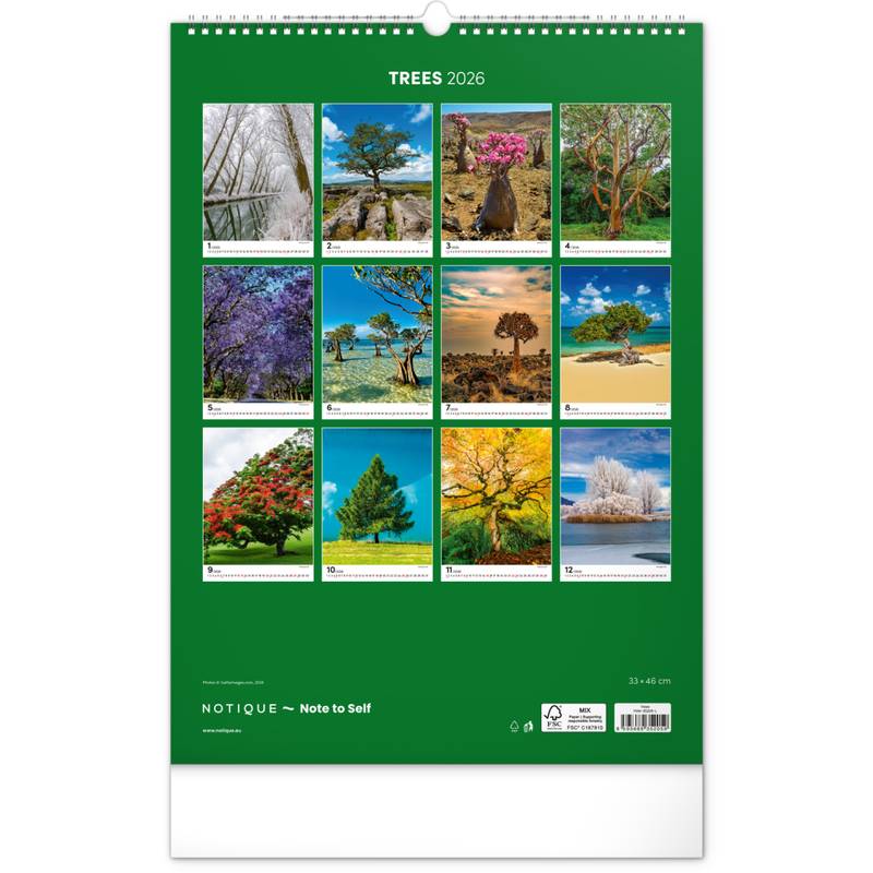 NOTIQUE Nástěnný kalendář Stromy 2026, 33 x 46 cm NOTIQUE Nástěnný kalendář Stromy 2026, 33 x 46 cm
