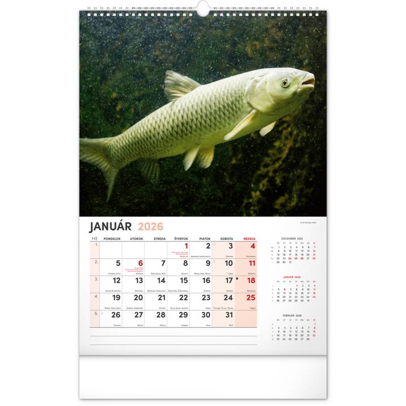 NOTIQUE Nástenný kalendár Rybársky 2026, 33 x 46 cm NOTIQUE Nástenný kalendár Rybársky 2026, 33 x 46 cm