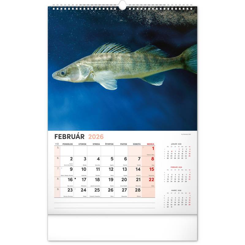 NOTIQUE Nástenný kalendár Rybársky 2026, 33 x 46 cm NOTIQUE Nástenný kalendár Rybársky 2026, 33 x 46 cm