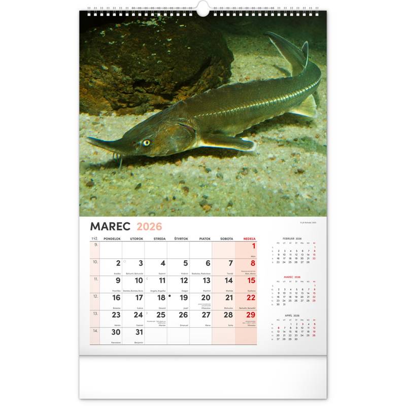 NOTIQUE Nástenný kalendár Rybársky 2026, 33 x 46 cm NOTIQUE Nástenný kalendár Rybársky 2026, 33 x 46 cm