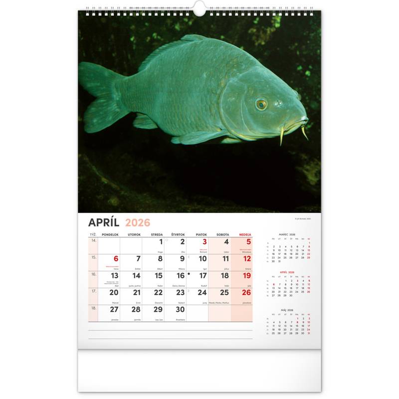 NOTIQUE Nástenný kalendár Rybársky 2026, 33 x 46 cm NOTIQUE Nástenný kalendár Rybársky 2026, 33 x 46 cm