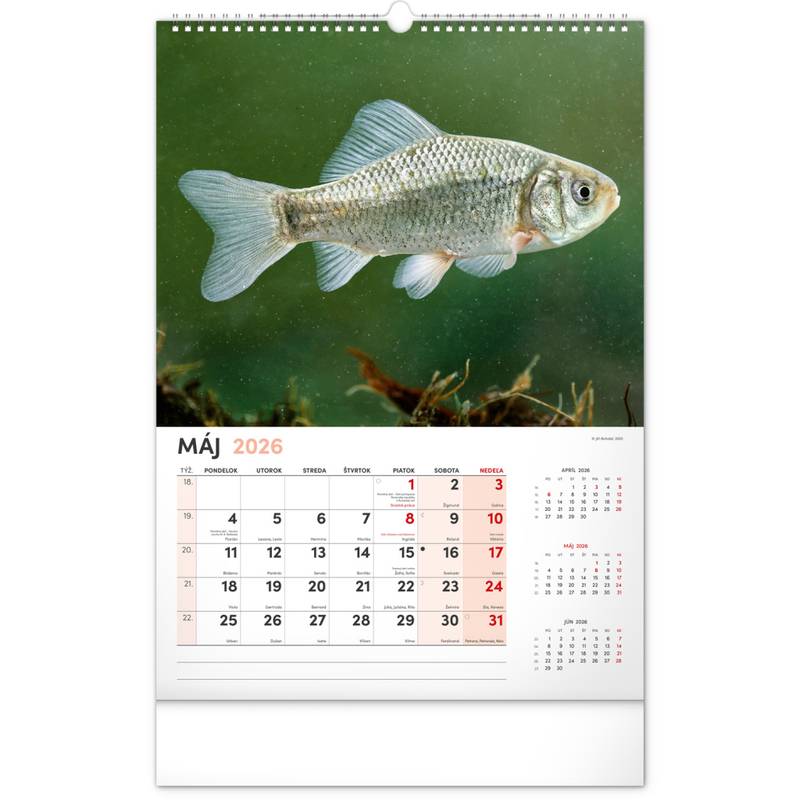 NOTIQUE Nástenný kalendár Rybársky 2026, 33 x 46 cm NOTIQUE Nástenný kalendár Rybársky 2026, 33 x 46 cm
