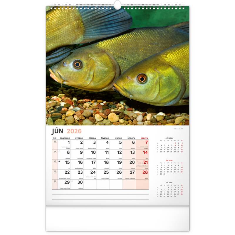 NOTIQUE Nástenný kalendár Rybársky 2026, 33 x 46 cm NOTIQUE Nástenný kalendár Rybársky 2026, 33 x 46 cm