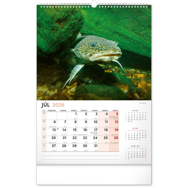 NOTIQUE Nástenný kalendár Rybársky 2026, 33 x 46 cm NOTIQUE Nástenný kalendár Rybársky 2026, 33 x 46 cm