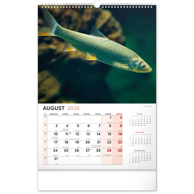 NOTIQUE Nástenný kalendár Rybársky 2026, 33 x 46 cm NOTIQUE Nástenný kalendár Rybársky 2026, 33 x 46 cm