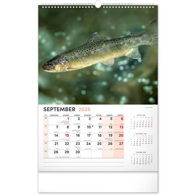 NOTIQUE Nástenný kalendár Rybársky 2026, 33 x 46 cm NOTIQUE Nástenný kalendár Rybársky 2026, 33 x 46 cm