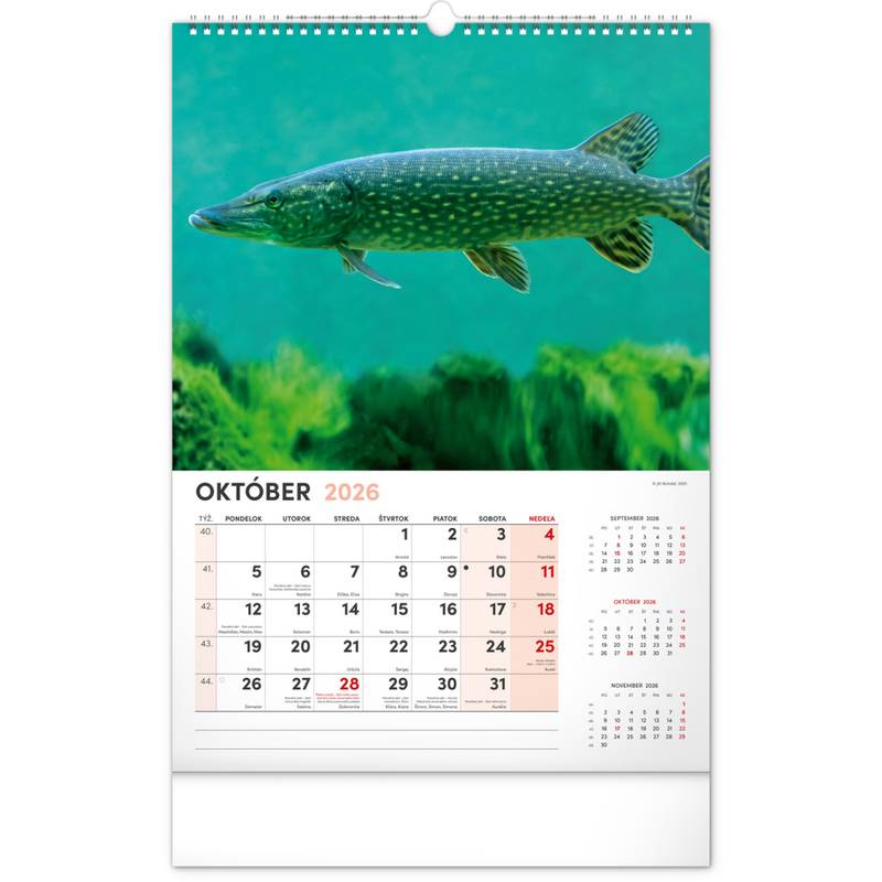 NOTIQUE Nástenný kalendár Rybársky 2026, 33 x 46 cm NOTIQUE Nástenný kalendár Rybársky 2026, 33 x 46 cm