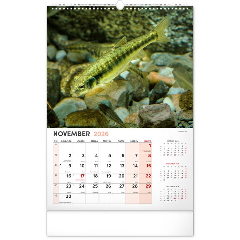 NOTIQUE Nástenný kalendár Rybársky 2026, 33 x 46 cm NOTIQUE Nástenný kalendár Rybársky 2026, 33 x 46 cm