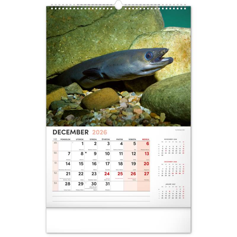 NOTIQUE Nástenný kalendár Rybársky 2026, 33 x 46 cm NOTIQUE Nástenný kalendár Rybársky 2026, 33 x 46 cm