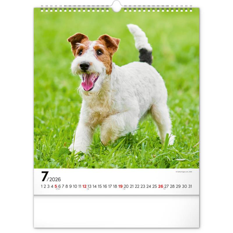 NOTIQUE Nástěnný kalendář Psi 2026, 30 x 34 cm NOTIQUE Nástěnný kalendář Psi 2026, 30 x 34 cm