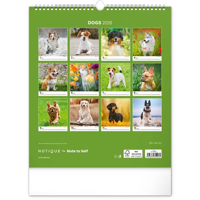 NOTIQUE Nástěnný kalendář Psi 2026, 30 x 34 cm NOTIQUE Nástěnný kalendář Psi 2026, 30 x 34 cm