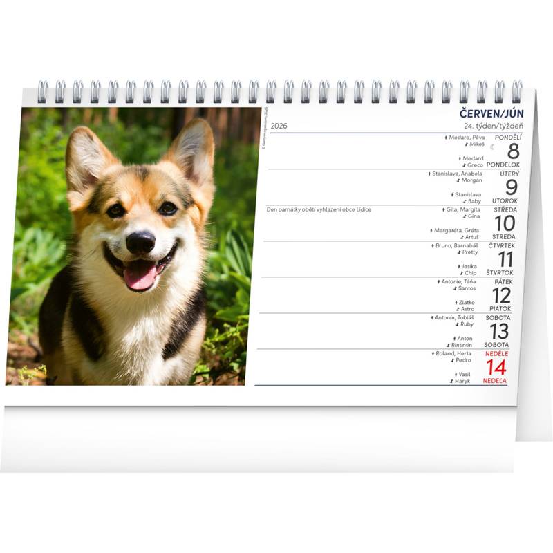 NOTIQUE Stolní kalendář Psi – Psi CZ/SK 2026, 23,1 x 14,5 cm NOTIQUE Stolní kalendář Psi – Psi CZ/SK 2026, 23,1 x 14,5 cm