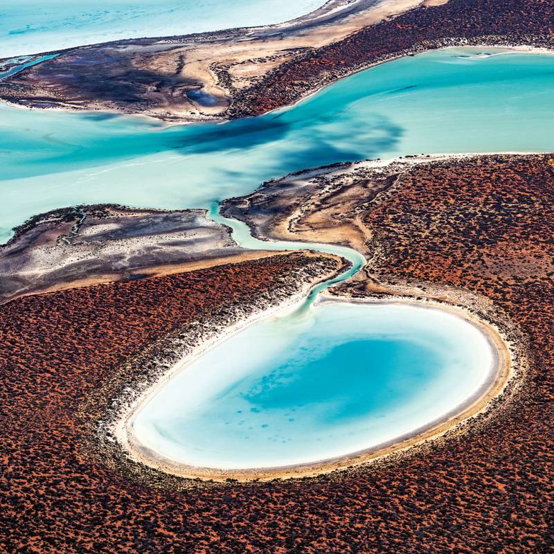 NOTIQUE Poznámkový kalendář Naše planeta 2026, 30 x 30 cm NOTIQUE Poznámkový kalendář Naše planeta 2026, 30 x 30 cm