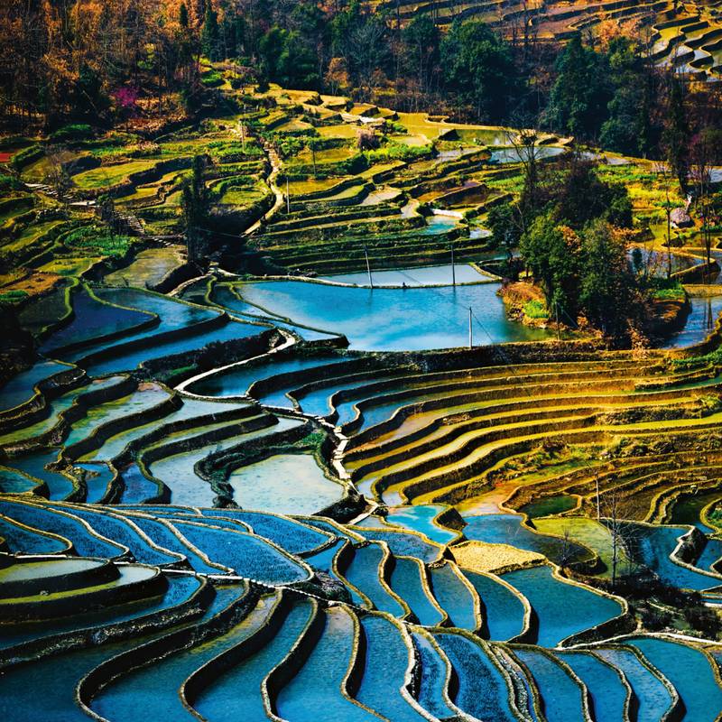 NOTIQUE Poznámkový kalendář Naše planeta 2026, 30 x 30 cm NOTIQUE Poznámkový kalendář Naše planeta 2026, 30 x 30 cm