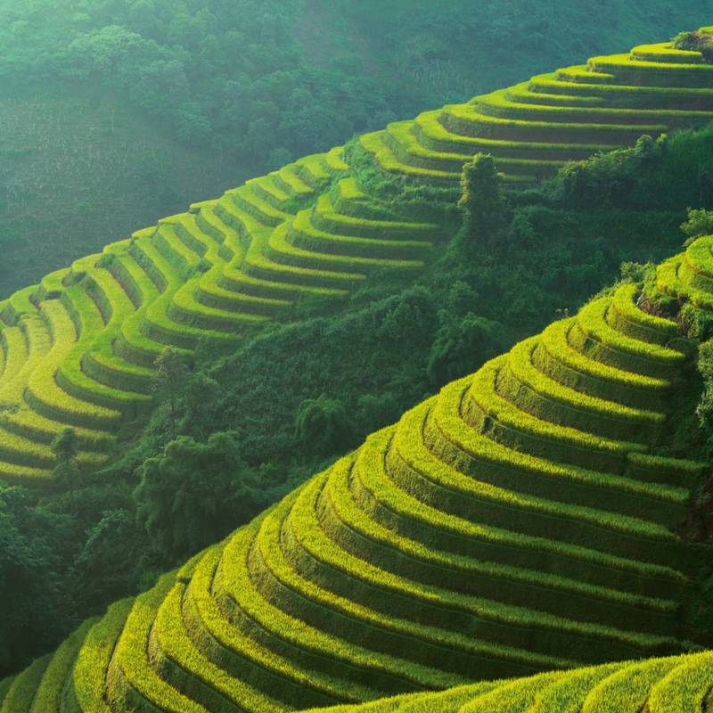 NOTIQUE Poznámkový kalendář Naše planeta 2026, 30 x 30 cm NOTIQUE Poznámkový kalendář Naše planeta 2026, 30 x 30 cm