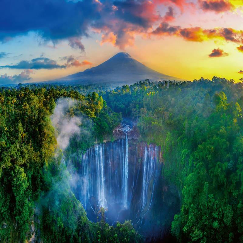 NOTIQUE Poznámkový kalendár Dažďové pralesy 2026, 30 x 30 cm NOTIQUE Poznámkový kalendár Dažďové pralesy 2026, 30 x 30 cm