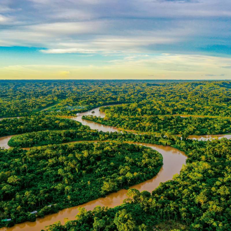 NOTIQUE Poznámkový kalendár Dažďové pralesy 2026, 30 x 30 cm NOTIQUE Poznámkový kalendár Dažďové pralesy 2026, 30 x 30 cm