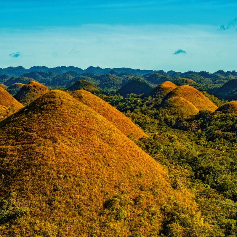 NOTIQUE Poznámkový kalendár Dažďové pralesy 2026, 30 x 30 cm NOTIQUE Poznámkový kalendár Dažďové pralesy 2026, 30 x 30 cm