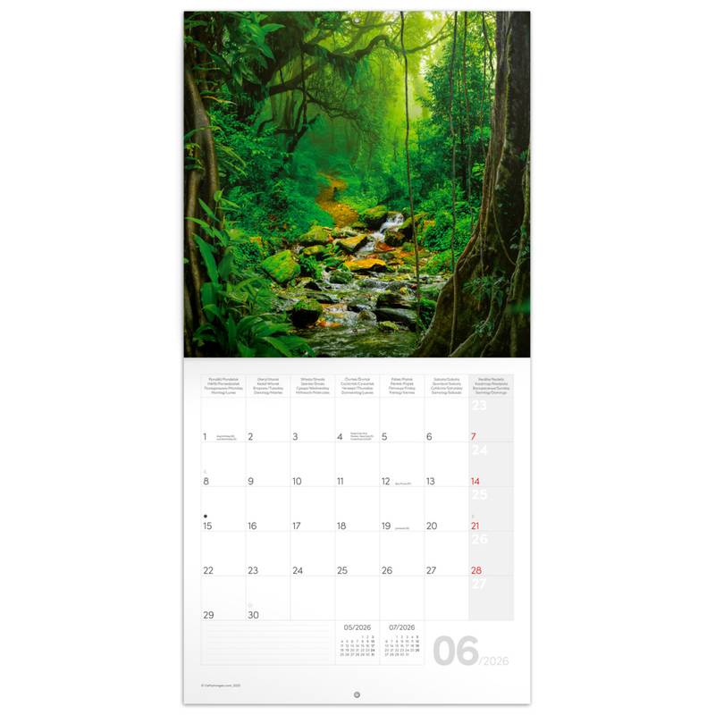 NOTIQUE Poznámkový kalendár Dažďové pralesy 2026, 30 x 30 cm NOTIQUE Poznámkový kalendár Dažďové pralesy 2026, 30 x 30 cm