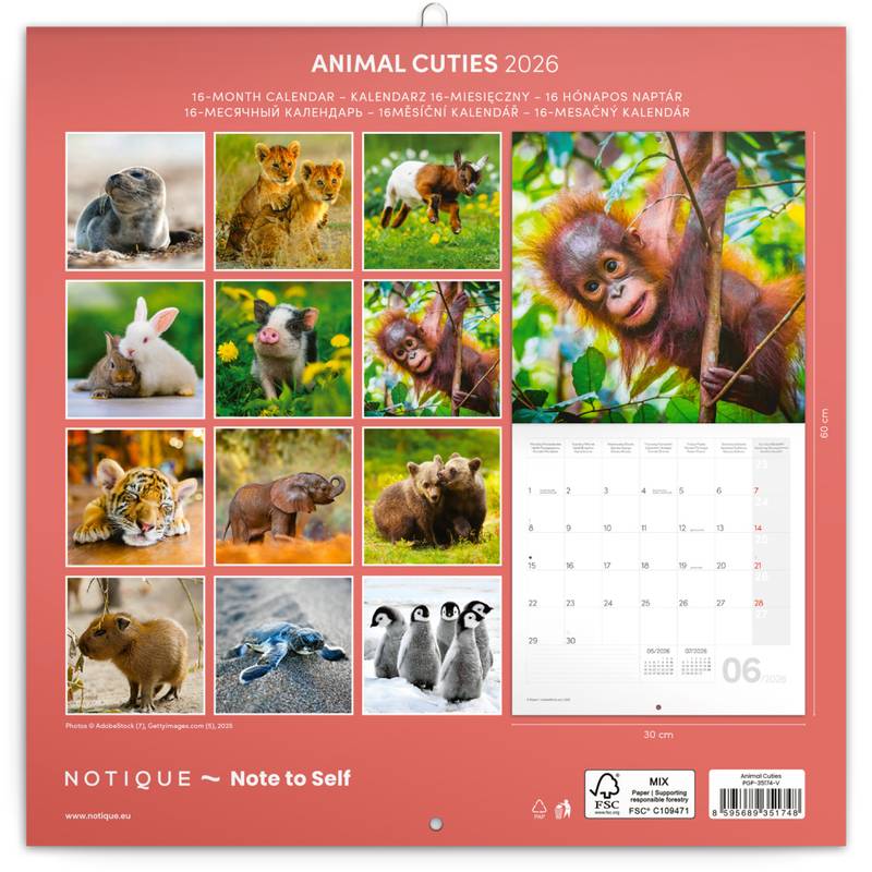 NOTIQUE Poznámkový kalendář Mláďata 2026, 30 x 30 cm NOTIQUE Poznámkový kalendář Mláďata 2026, 30 x 30 cm
