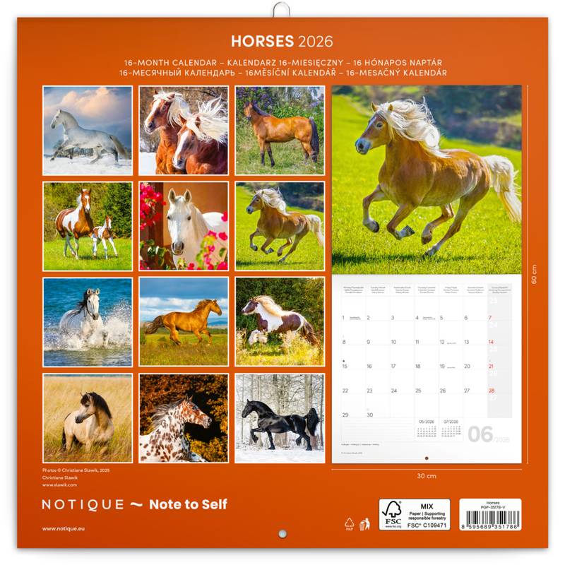 NOTIQUE Poznámkový kalendář Koně – Christiane Slawik 2026, 30 x 30 cm NOTIQUE Poznámkový kalendář Koně – Christiane Slawik 2026, 30 x 30 cm