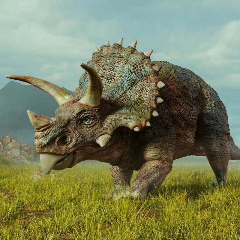 NOTIQUE Poznámkový kalendář Dinosauři 2026, 30 x 30 cm NOTIQUE Poznámkový kalendář Dinosauři 2026, 30 x 30 cm