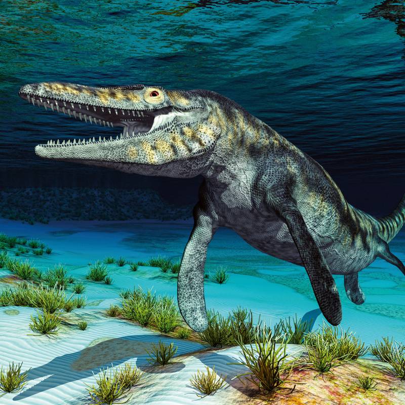 NOTIQUE Poznámkový kalendář Dinosauři 2026, 30 x 30 cm NOTIQUE Poznámkový kalendář Dinosauři 2026, 30 x 30 cm