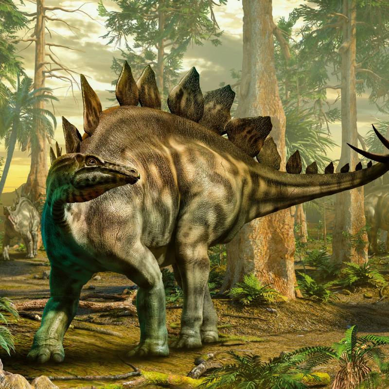 NOTIQUE Poznámkový kalendář Dinosauři 2026, 30 x 30 cm NOTIQUE Poznámkový kalendář Dinosauři 2026, 30 x 30 cm