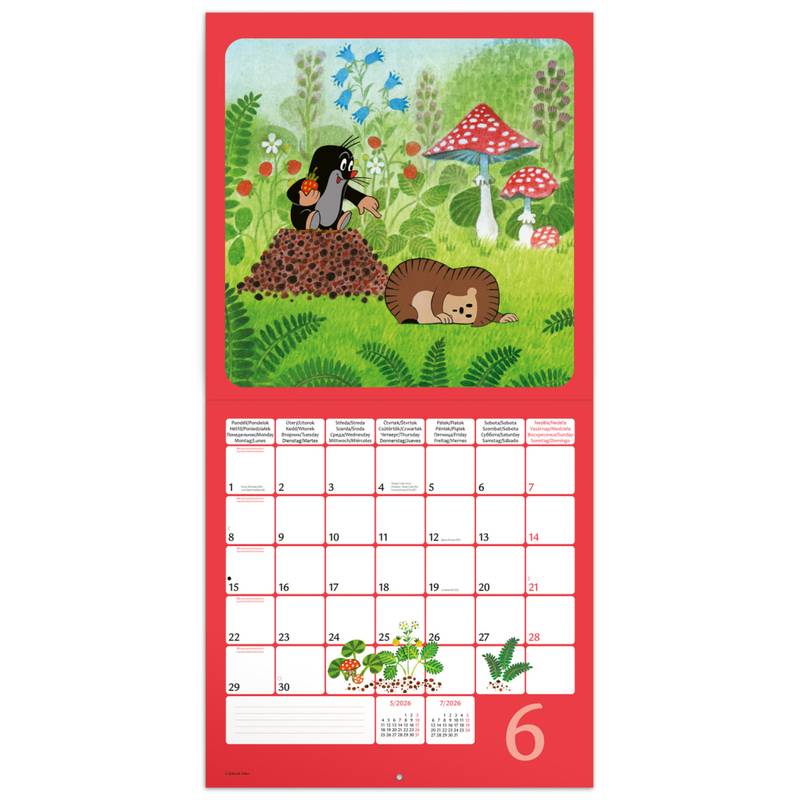 NOTIQUE Poznámkový kalendář Krtek 2026, 30 x 30 cm NOTIQUE Poznámkový kalendář Krtek 2026, 30 x 30 cm