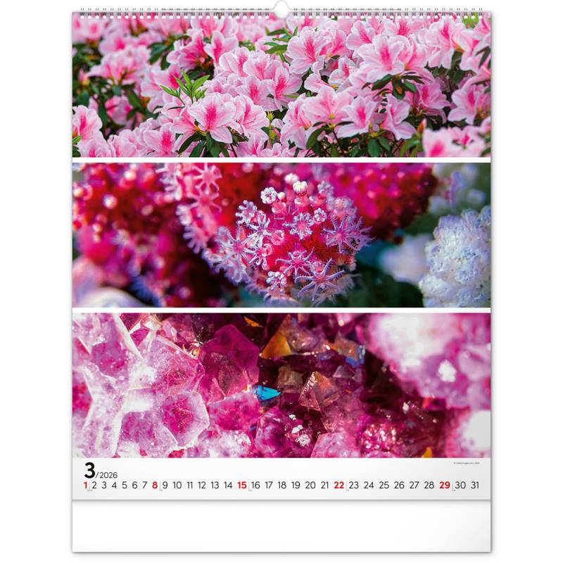 NOTIQUE Nástěnný kalendář Paleta 2026, 48 x 56 cm NOTIQUE Nástěnný kalendář Paleta 2026, 48 x 56 cm