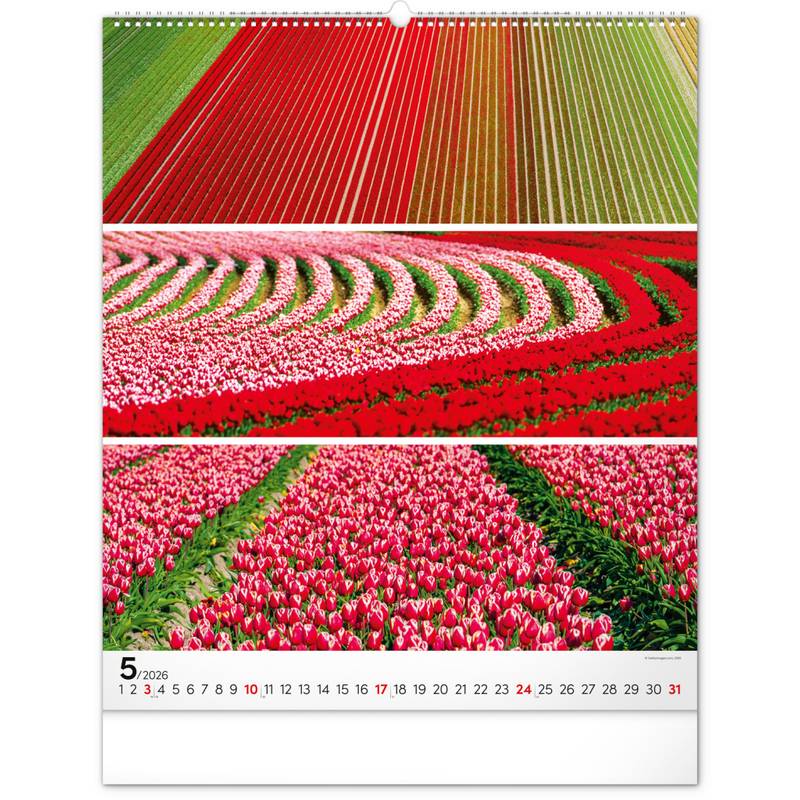 NOTIQUE Nástěnný kalendář Paleta 2026, 48 x 56 cm NOTIQUE Nástěnný kalendář Paleta 2026, 48 x 56 cm