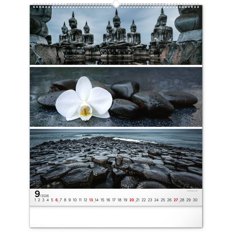 NOTIQUE Nástěnný kalendář Paleta 2026, 48 x 56 cm NOTIQUE Nástěnný kalendář Paleta 2026, 48 x 56 cm