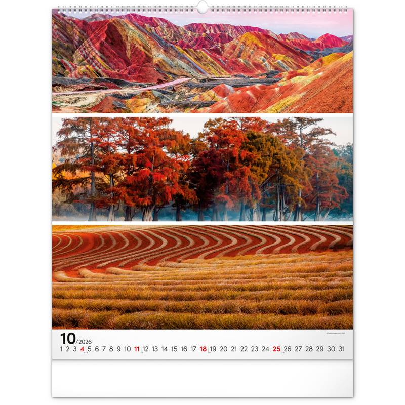 NOTIQUE Nástěnný kalendář Paleta 2026, 48 x 56 cm NOTIQUE Nástěnný kalendář Paleta 2026, 48 x 56 cm