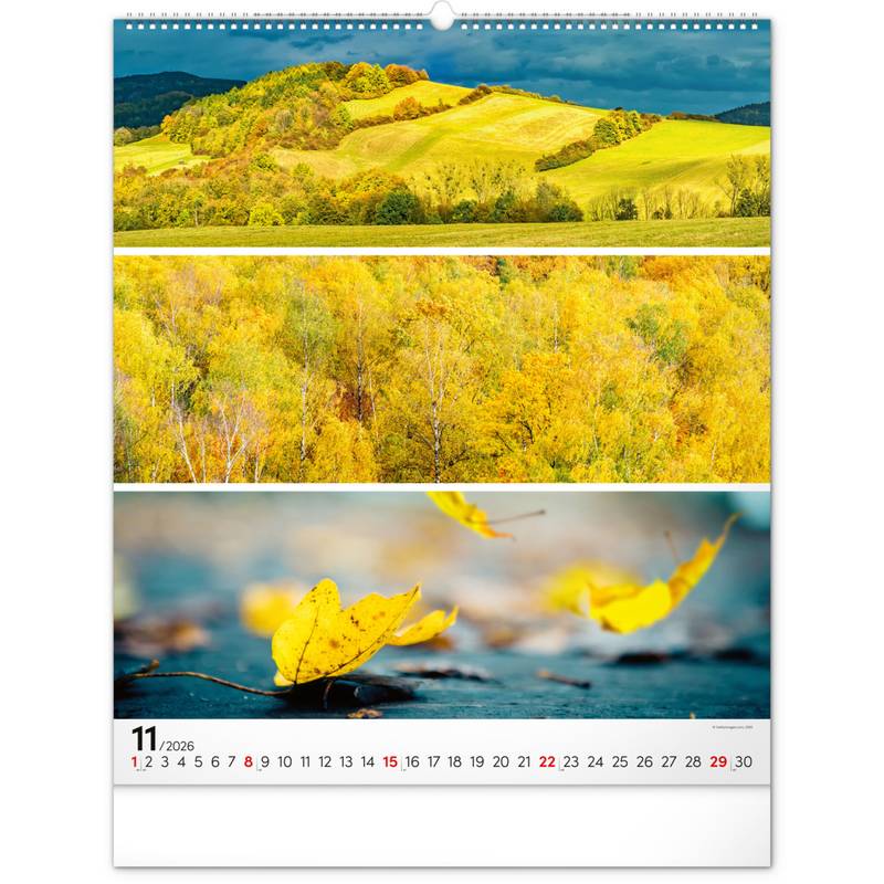 NOTIQUE Nástěnný kalendář Paleta 2026, 48 x 56 cm NOTIQUE Nástěnný kalendář Paleta 2026, 48 x 56 cm