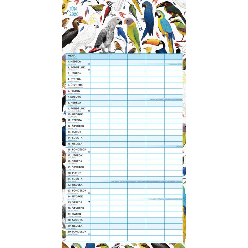 NOTIQUE Rodinný plánovací kalendár Animalium 2026, 30 x 30 cm NOTIQUE Rodinný plánovací kalendár Animalium 2026, 30 x 30 cm