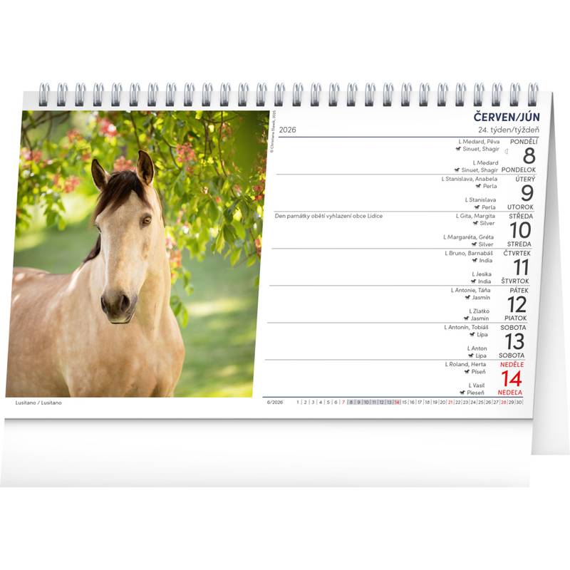 NOTIQUE Stolový kalendár Koně – Kone CZ/SK 2026, 23,1 x 14,5 cm NOTIQUE Stolový kalendár Koně – Kone CZ/SK 2026, 23,1 x 14,5 cm
