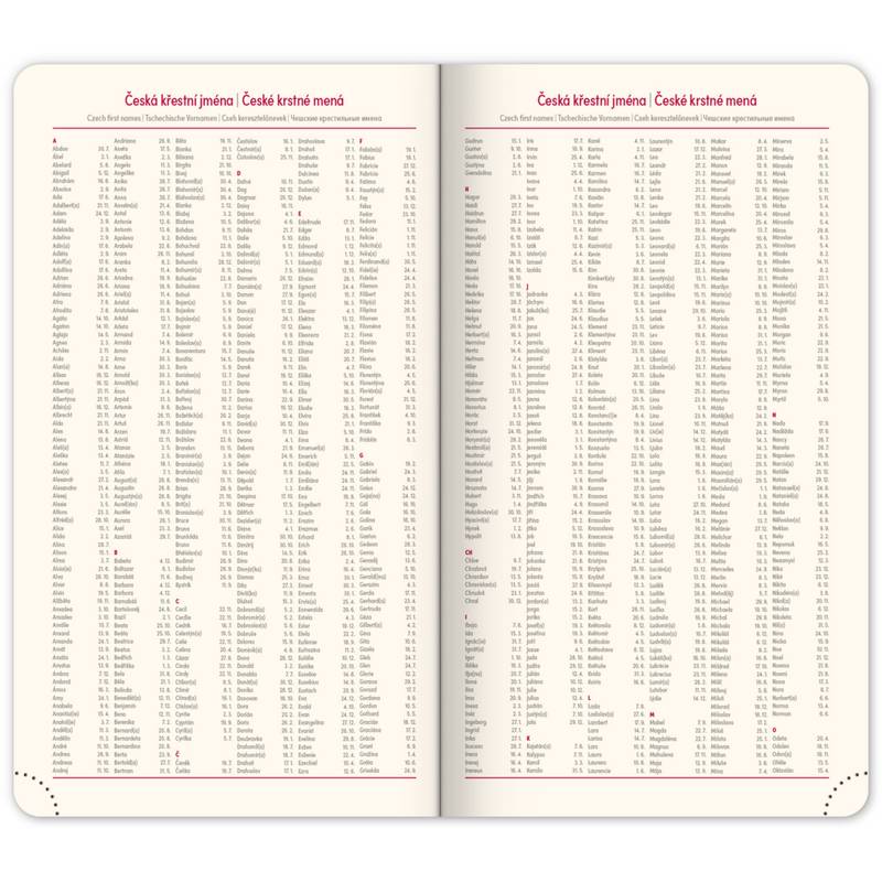 NOTIQUE Kapesní diář Essenza 2026, švestka, 9 x 15,5 cm NOTIQUE Kapesní diář Essenza 2026, švestka, 9 x 15,5 cm